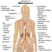 Diagram of human body showing parts affected by menopause