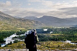 Part of the Lomsdalen-Visten National Park