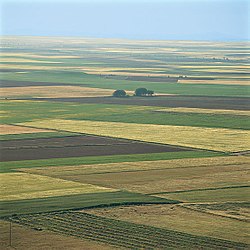 Zemědělská krajina ve Valladolidské provincii