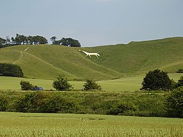 Witte paard van Cherhill