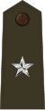 Brigadier general