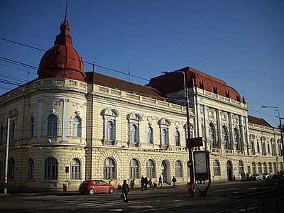 The Faculty of Medicine