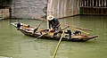 Cormorant fishing in Wuzhen Xizha, Zhejiang, China