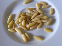 Shelled European pine nuts