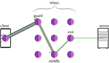 A client, represented as a phone, sending traffic to an onion labelled "Guard" with four nested lines, then going to a "Middle" onion with three nested lines, then going to an "Exit" onion with two nested lines, and finally going to the Server with one line.