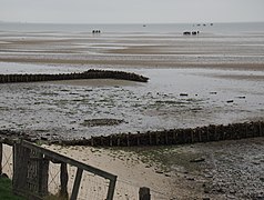 Buhnen im Wattenmeer