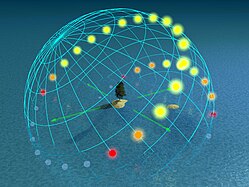 50° : le Soleil culmine à 16,563° en hiver et à 63,437° en été. Le jour dure moins de 8 heures en hiver et plus de 16 heures en été. Les directions et angles des levers et couchers de Soleil lors des deux solstices sont très différents. En été, le Soleil ne disparaît pas suffisamment sous l'horizon pour que prenne fin le crépuscule astronomique. Au-dessus de 60° de latitude, le crépuscule civil dure toute la nuit. Au-dessus de 66,563°, le Soleil ne se couche pas en été.