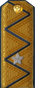 погоны ГБ 1943