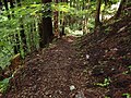 渡渉以降の登山道