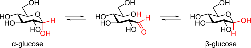 Mutarotation du glucose en solution entre anomères α et β.