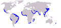 Distribución de Delphinus capensis