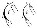 Variation der Strichstärke mit einer Breitfeder und einer Schwellzugfeder