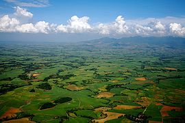 Vast sugarcane plantations in Bacolod