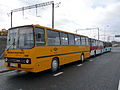 Ikarus 260