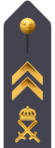 Armén (uniform m/87)