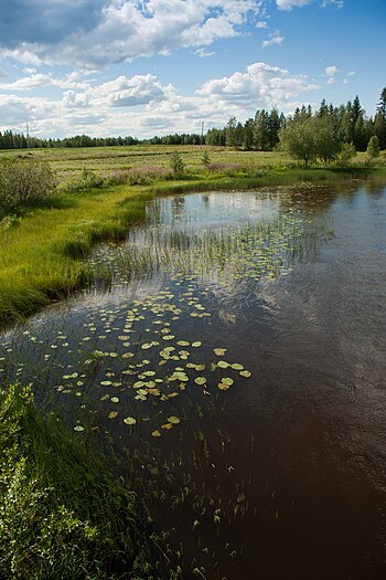 Мост праз Іякі