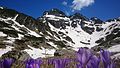 Image 21Alpine landscape below Malyovitsa Peak, Rila Mountain, Bulgaria (from Montane ecosystems)