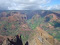 Image 41Waimea Canyon, Hawaii, is known for its montane vegetation. (from Montane ecosystems)