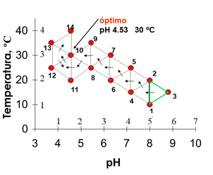 Optimización simplex