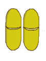 Transverse dehiscence of a pair of anthers