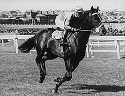 Beau Vite, 1941 winner