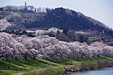 船岡城址公園