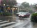 Vignette pour Pluie torrentielle sous orage