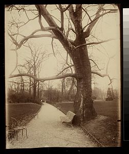 Parc Monceau (photographie d'Eugène Atget, 1901-1902).