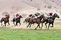 Image 18 Horse racing Credit: Fir0002 Horses race on grass at the 2006 Tambo Valley Races in Swifts Creek, Victoria, Australia. Horseracing is the third most popular spectator sport in Australia, behind Australian rules football and rugby league, with almost 2 million admissions to the 379 racecourses throughout Australia in 2002–03. More selected pictures