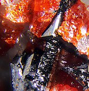 Enneasartorite & hendekasartorite