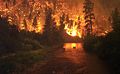 Image 1Elk Bath, an award-winning photograph of elk avoiding a wildfire in Montana (from Wildfire)