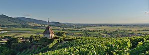 Markgräflerland bei Ehrenstetten