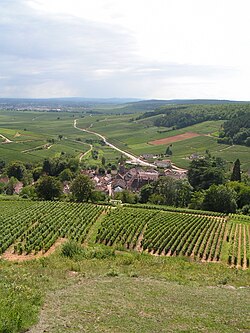 Skyline of Pernand-Vergelesses