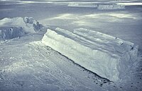 Natuurlandschap met kolonie zeehonden op Antarctica, 2009.