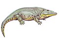 Eryops (Anfibio)