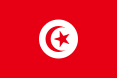 Tunisiako Protektoratu Frantseseko bandera