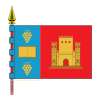 Flag of Monterrei