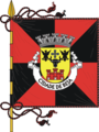 Vlag van Beja