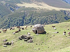 Bergweide im kantabrischen Teil der Picos de Europa