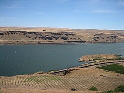 Afgelegen wijngaard. Waar maar enigszins een mogelijkheid tot het aanleggen van een wijngaard aanwezig is, zal de mens dit proberen. Voorbeeld: Columbia Gorge in de staat Washington in de Verenigde Staten.