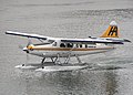 Floats in a small floatplane.