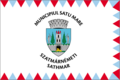 Satu Mare