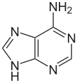 Imagen de la estructura