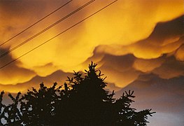 Mammatus nach einem nächtlichen Gewitter über dem Moseltal, 29. Mai 2000