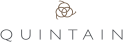 File:Quintain logo.svg