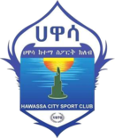 Logo du Awassa City