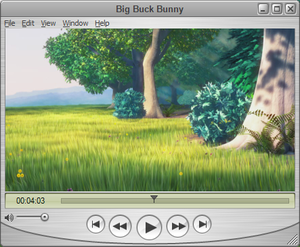 QuickTime Player 7.6.6 running on Microsoft Windows