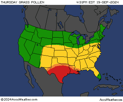 Today's United States Grass Pollen Index