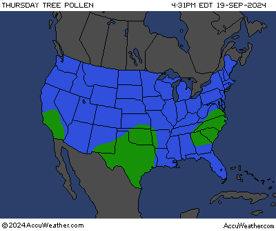 Today's United States Tree Pollen Index