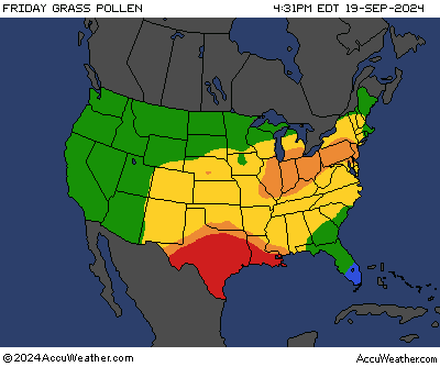 Tomorrow's United States Grass Pollen Index